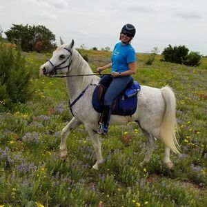 Meet your Posher, Paula